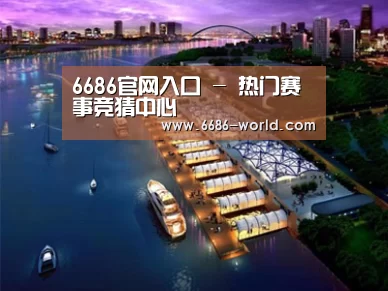 案例展示八